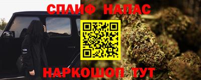 молекула духа Ставрополь