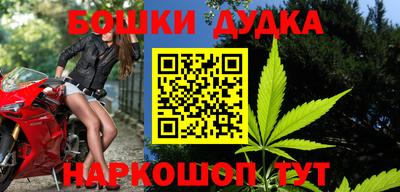 молекула духа Ставрополь