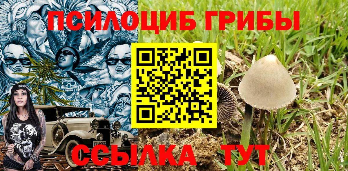 Октябрьский  сколько стоит  Вход с VPN  Галлюциногенные грибы MAGIC MUSHROOMS 